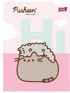Zeszyt w trzy linie A5 Pusheen Unipap 32 kartek