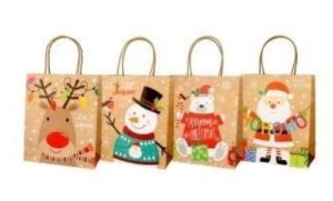 Torba prezentowa 21x25,5x10cm papier white craft