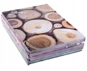 Brulion A4/96K Linia