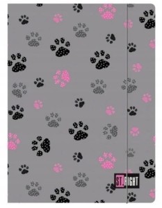 Teczka A4 z gumką szkolna A4 Paws